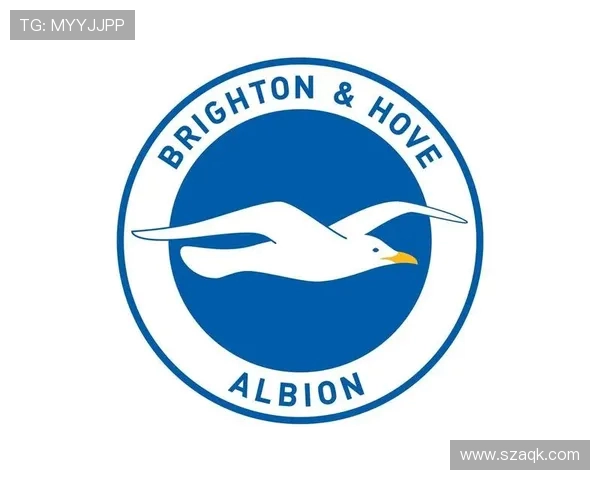 英超球队老标志:回顾英超球队的老队徽及其设计演变。 英超球队老标志:回顾英超球队的老队徽及其设计演变。