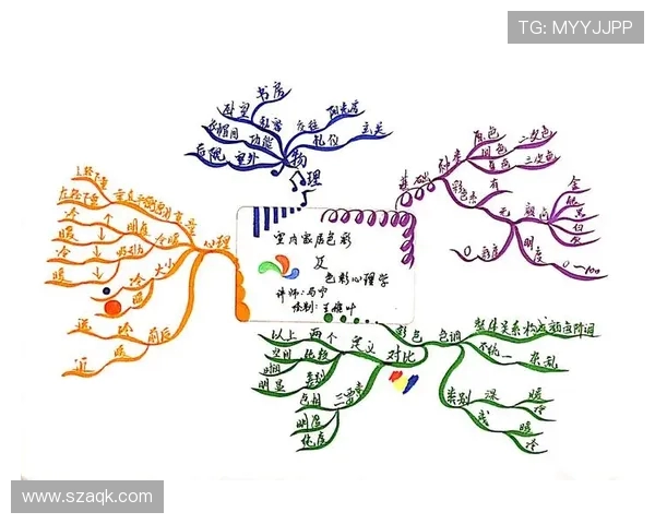 隔离带色彩心理学在球迷情绪引导中的作用