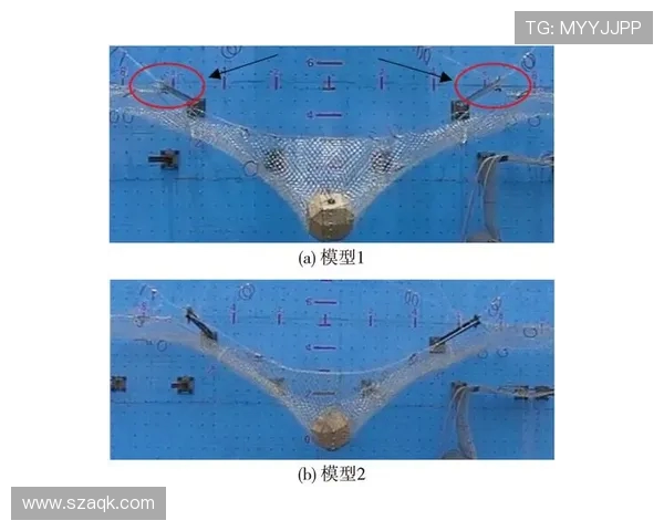 高龄友好型运动器械深度测评:低冲击高防护性能解析 高龄友好型运动器械深度测评:低冲击高防护性能解析