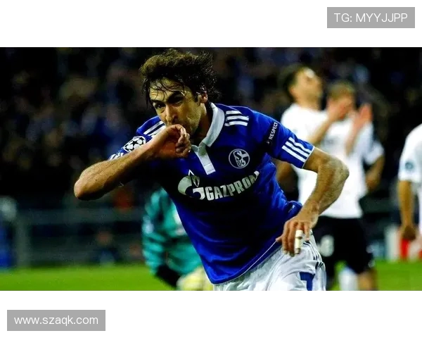 劳尔加盟德甲哪支球队及其对体育竞技的影响评估 劳尔加盟德甲哪支球队及其对体育竞技的影响评估