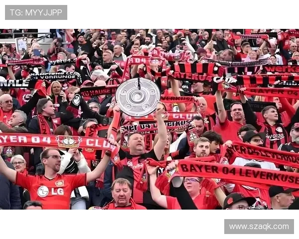 德甲口碑好的球队排名及球迷口碑分析