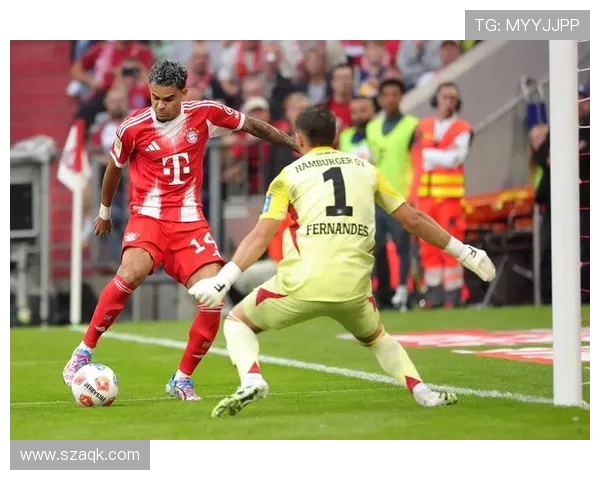 汉堡足球俱乐部作为德甲球队的历史与现状介绍 汉堡足球俱乐部作为德甲球队的历史与现状介绍